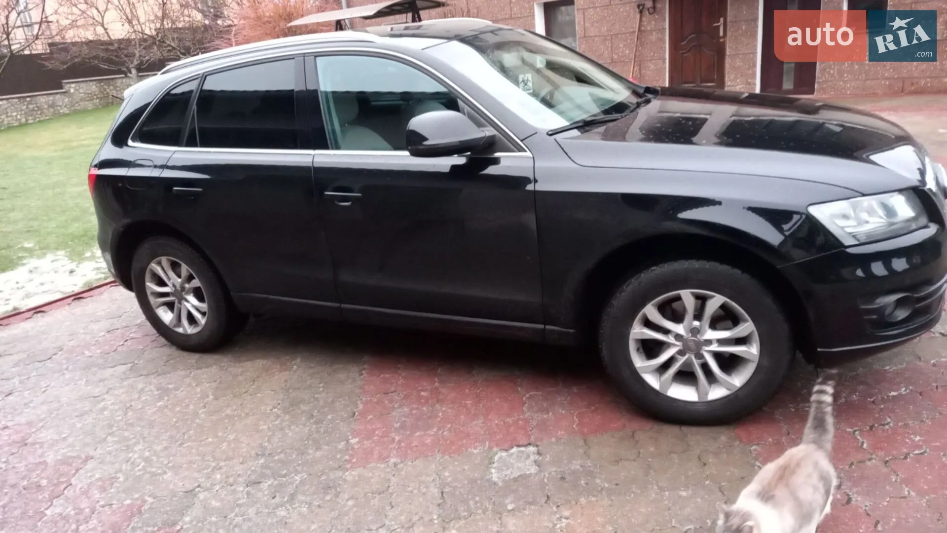 Audi Q5 2010 VIN WAUZZZ8R6BA010420 фото оголошення 3 з 22