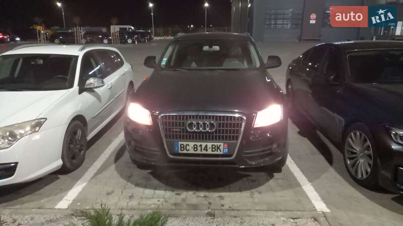 Audi Q5 2010