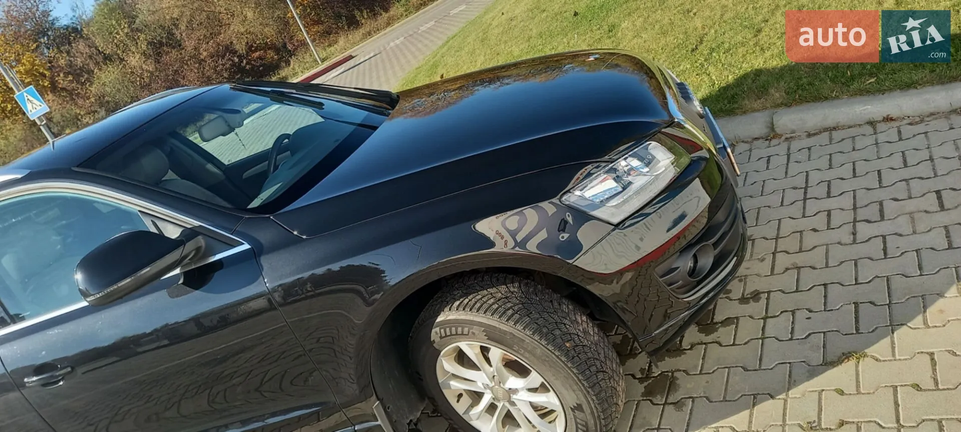 Audi Q5 2010 VIN WAUZZZ8R6BA010420 фото оголошення 20 з 22