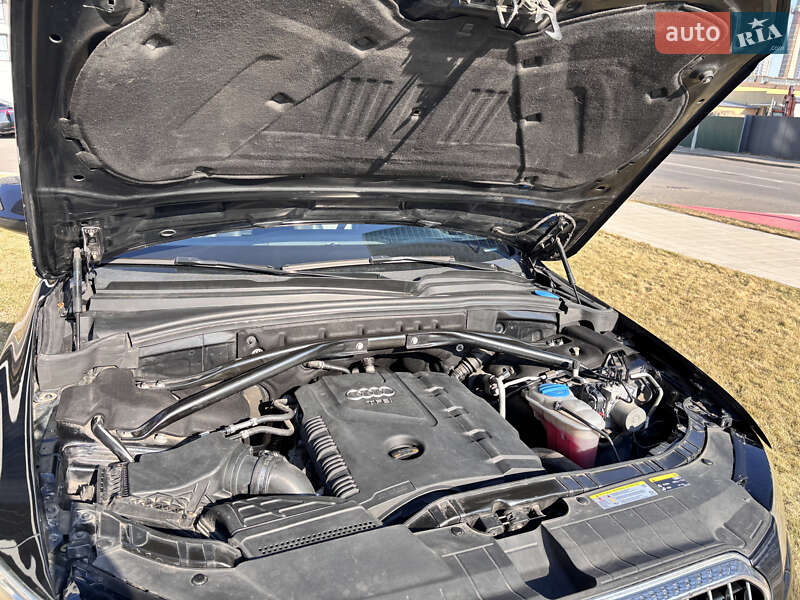 Позашляховик / Кросовер Audi Q5 2013 в Києві фото 34 Позашляховик / Кросовер Audi Q5 2013 в Києві