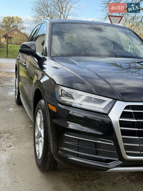 Внедорожник / Кроссовер Audi Q5 2019 в Жидачове