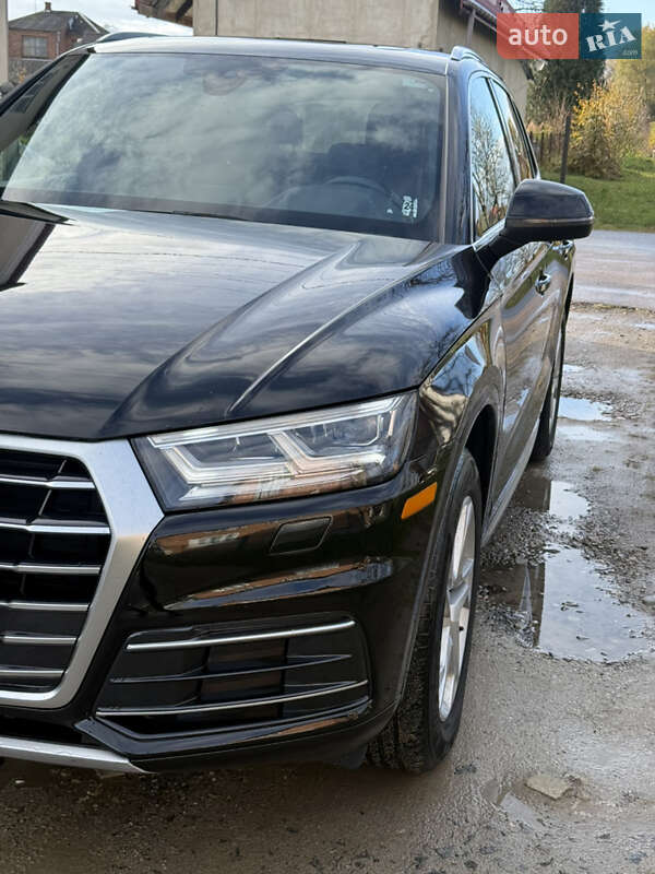 Внедорожник / Кроссовер Audi Q5 2019 в Жидачове