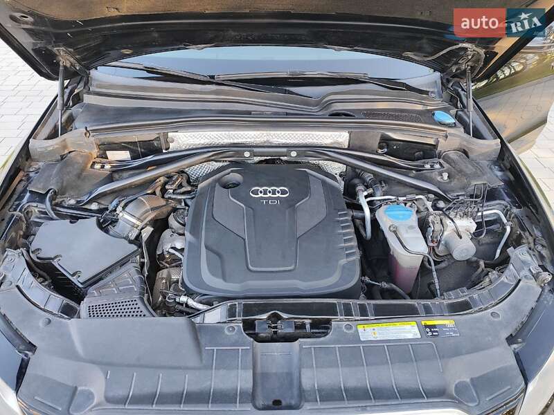 Внедорожник / Кроссовер Audi Q5 2016 в Ковеле фото 37 Внедорожник / Кроссовер Audi Q5 2016 в Ковеле