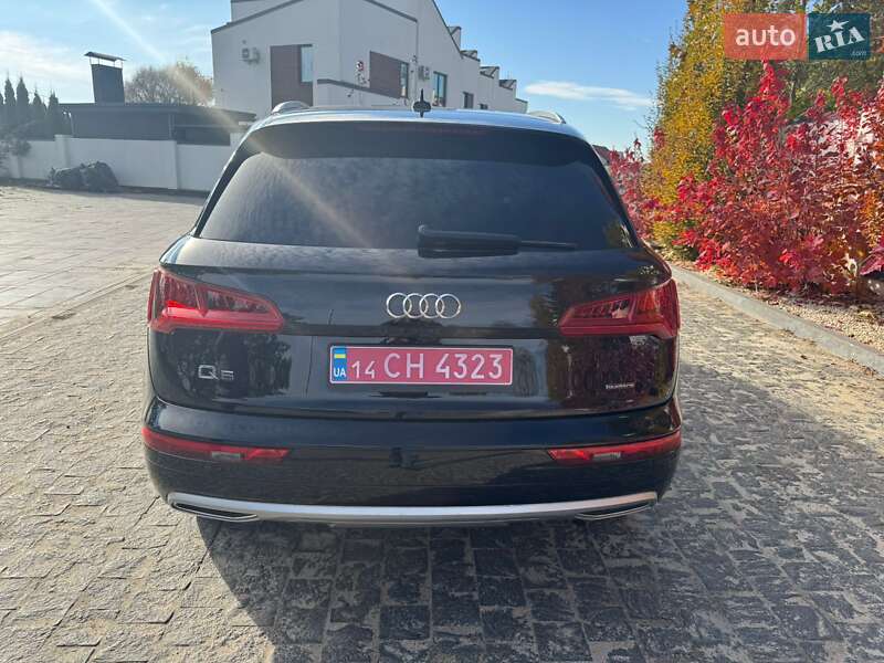 Внедорожник / Кроссовер Audi Q5 2019 в Львове фото 31 Внедорожник / Кроссовер Audi Q5 2019 в Львове