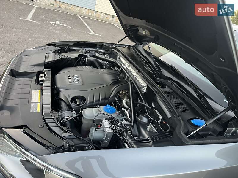 Внедорожник / Кроссовер Audi Q5 2015 в Дубно фото 52 Внедорожник / Кроссовер Audi Q5 2015 в Дубно