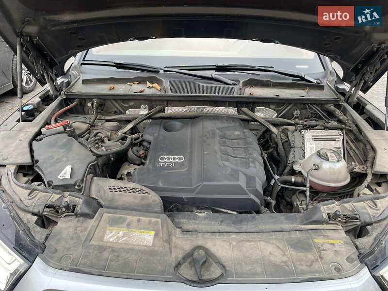 Внедорожник / Кроссовер Audi Q5 2018 в Львове фото 36 Внедорожник / Кроссовер Audi Q5 2018 в Львове