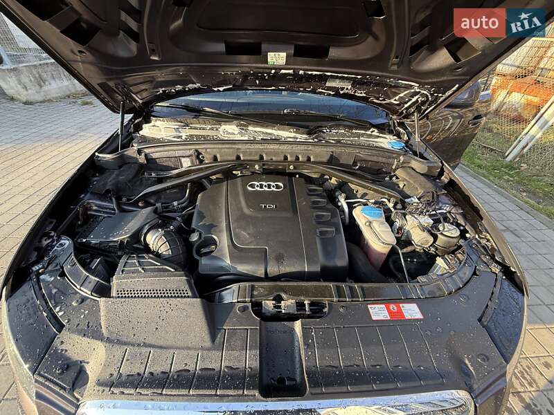 Внедорожник / Кроссовер Audi Q5 2010 в Львове фото 11 Внедорожник / Кроссовер Audi Q5 2010 в Львове