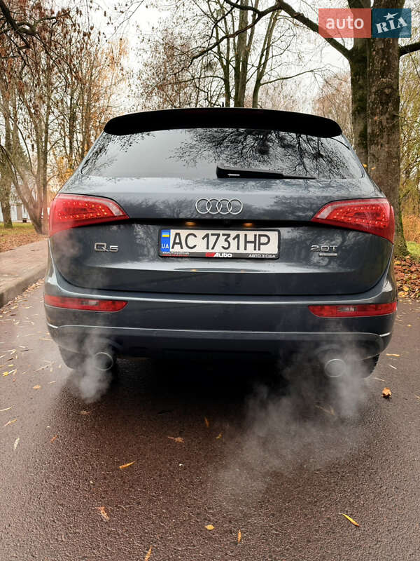Внедорожник / Кроссовер Audi Q5 2010 в Луцке фото 13 Внедорожник / Кроссовер Audi Q5 2010 в Луцке