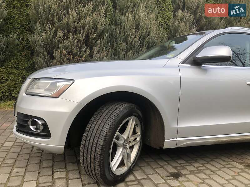 Внедорожник / Кроссовер Audi Q5 2014 в Самборе фото 38 Внедорожник / Кроссовер Audi Q5 2014 в Самборе