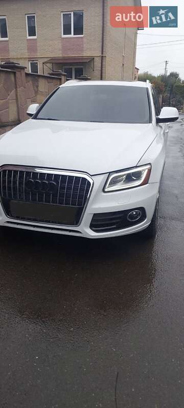 Audi Q5 2013 Audi Q5 2013