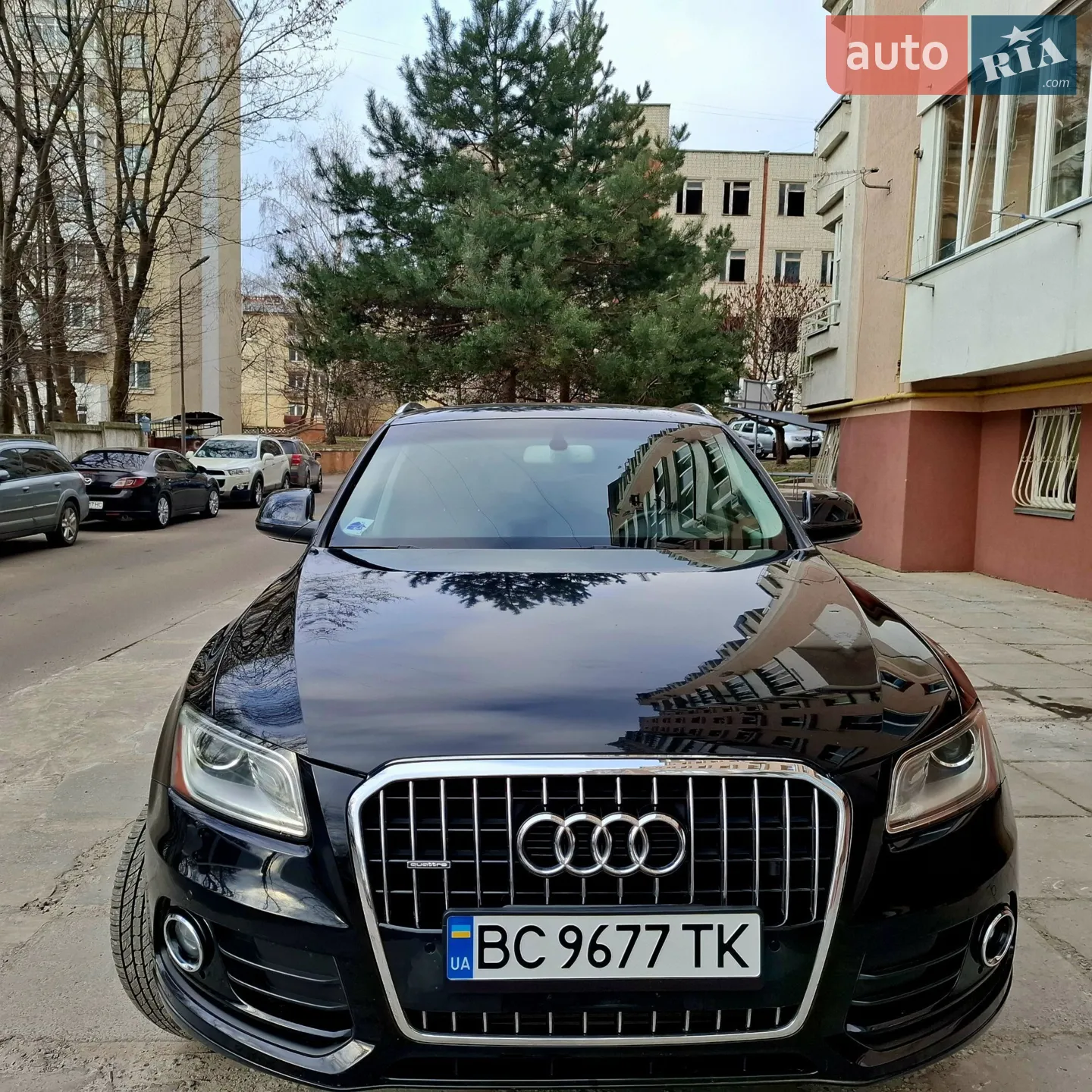 2013 Audi Q5 - мініатюра 11