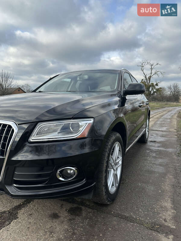 Внедорожник / Кроссовер Audi Q5 2016 в Сумах фото 13 Внедорожник / Кроссовер Audi Q5 2016 в Сумах