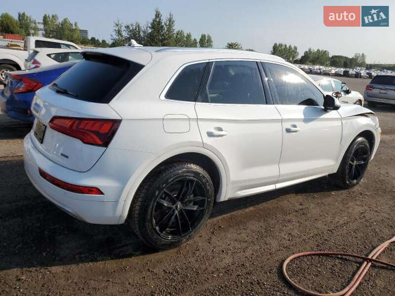 Внедорожник / Кроссовер Audi Q5 2019 в Стрые