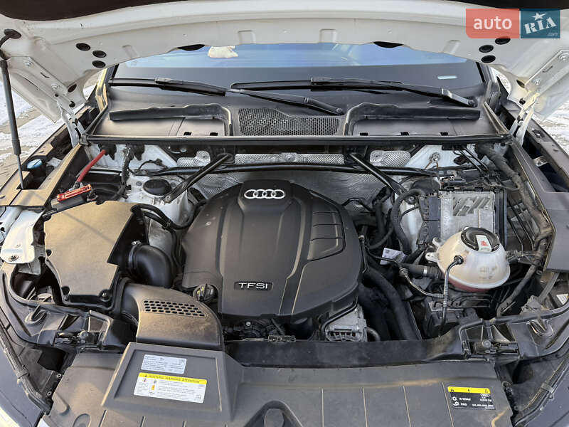 Внедорожник / Кроссовер Audi Q5 2018 в Шептицькому фото 30 Внедорожник / Кроссовер Audi Q5 2018 в Шептицькому