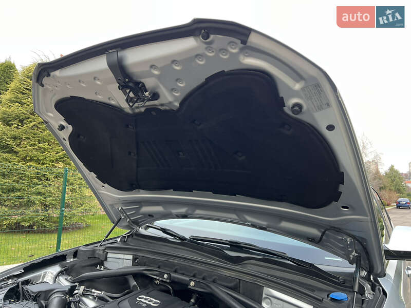 Внедорожник / Кроссовер Audi Q5 2016 в Ровно фото 78 Внедорожник / Кроссовер Audi Q5 2016 в Ровно