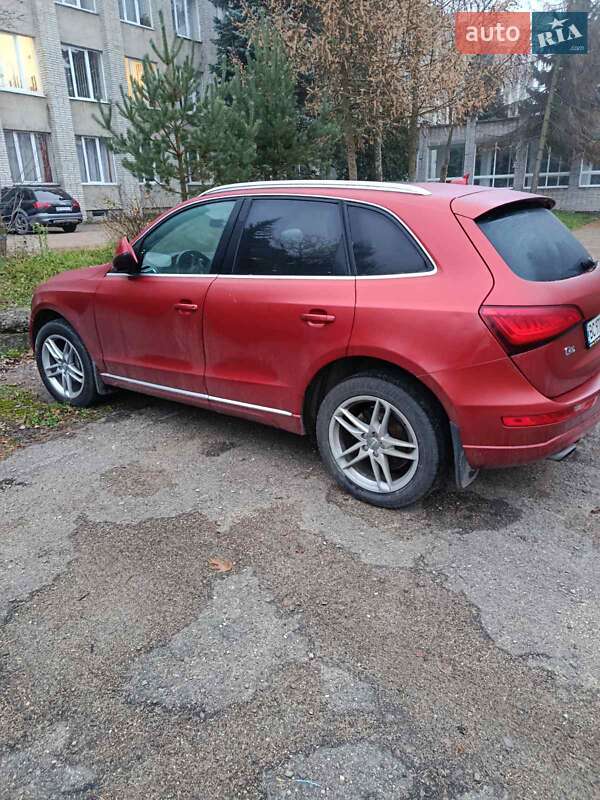 Внедорожник / Кроссовер Audi Q5 2014 в Львове фото 10 Внедорожник / Кроссовер Audi Q5 2014 в Львове