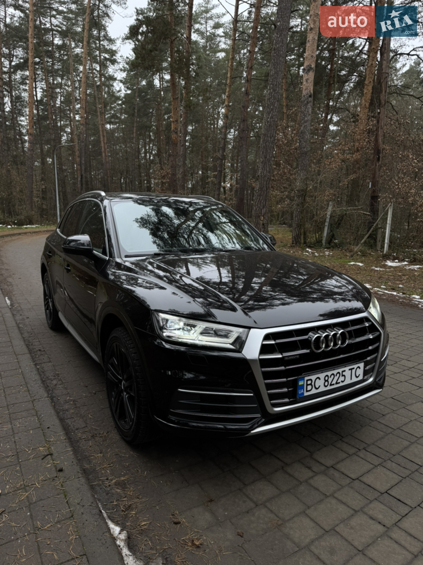 2019 Audi Q5 - мініатюра 4