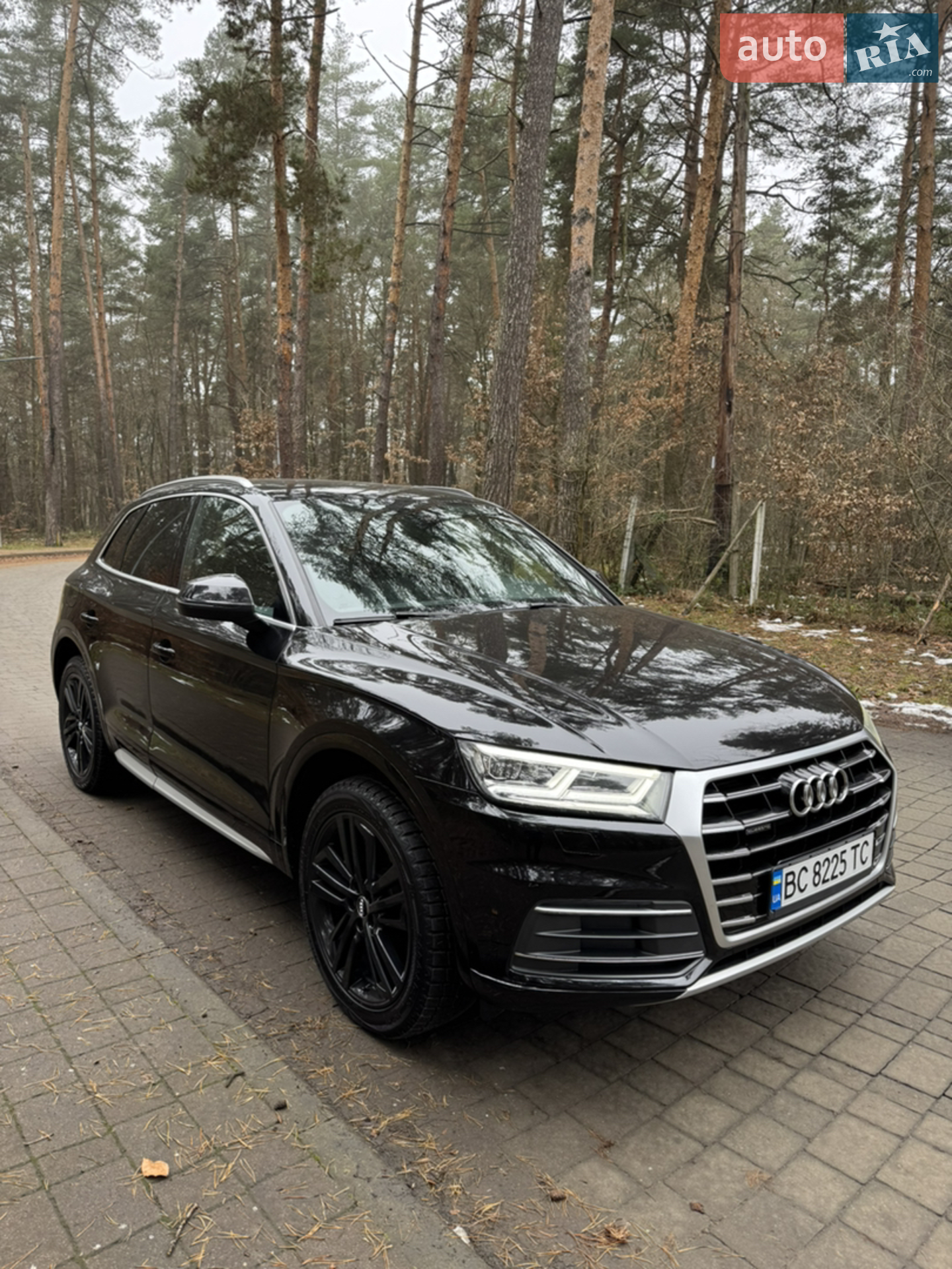 2019 Audi Q5 - мініатюра 5