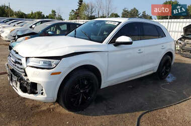 Позашляховик / Кросовер Audi Q5 2019 в Стрию