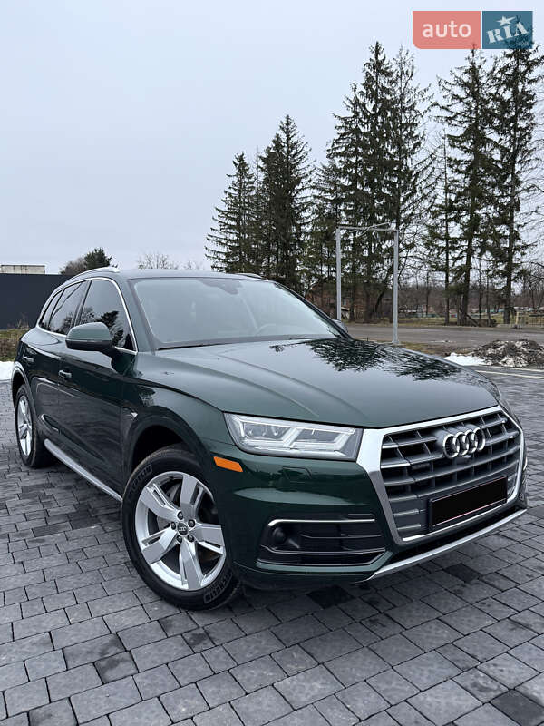 Внедорожник / Кроссовер Audi Q5 2019 в Самборе