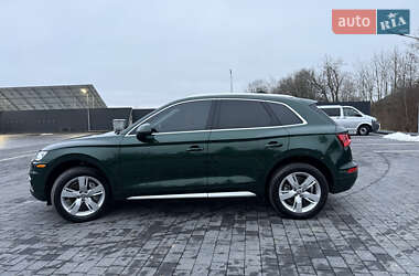 Внедорожник / Кроссовер Audi Q5 2019 в Самборе