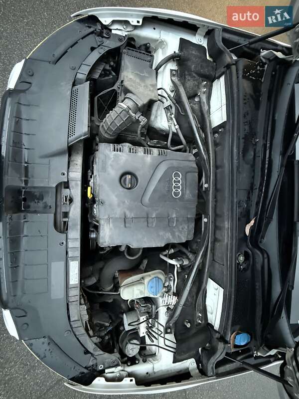 Позашляховик / Кросовер Audi Q5 2010 в Києві фото 28 Позашляховик / Кросовер Audi Q5 2010 в Києві
