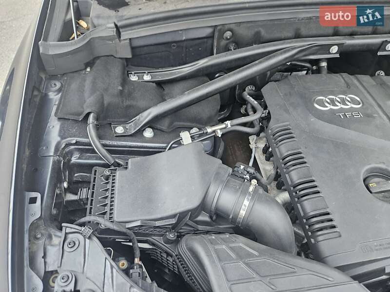 Внедорожник / Кроссовер Audi Q5 2015 в Полтаве фото 125 Внедорожник / Кроссовер Audi Q5 2015 в Полтаве