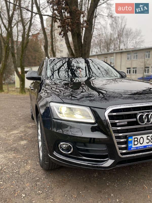 Внедорожник / Кроссовер Audi Q5 2015 в Тернополе фото 11 Внедорожник / Кроссовер Audi Q5 2015 в Тернополе