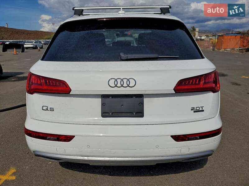 Внедорожник / Кроссовер Audi Q5 2018 в Львове фото 6 Внедорожник / Кроссовер Audi Q5 2018 в Львове