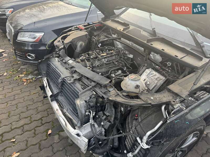 Внедорожник / Кроссовер Audi Q5 2020 в Львове фото 34 Внедорожник / Кроссовер Audi Q5 2020 в Львове