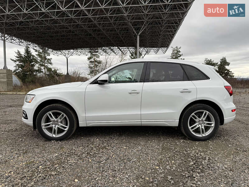 Внедорожник / Кроссовер Audi Q5 2016 в Самборе фото 27 Внедорожник / Кроссовер Audi Q5 2016 в Самборе