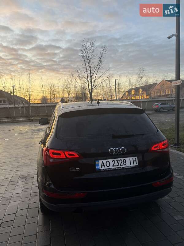 Внедорожник / Кроссовер Audi Q5 2012 в Виноградове фото 5 Внедорожник / Кроссовер Audi Q5 2012 в Виноградове