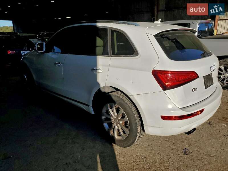 Внедорожник / Кроссовер Audi Q5 2017 в Львове фото 2 Внедорожник / Кроссовер Audi Q5 2017 в Львове
