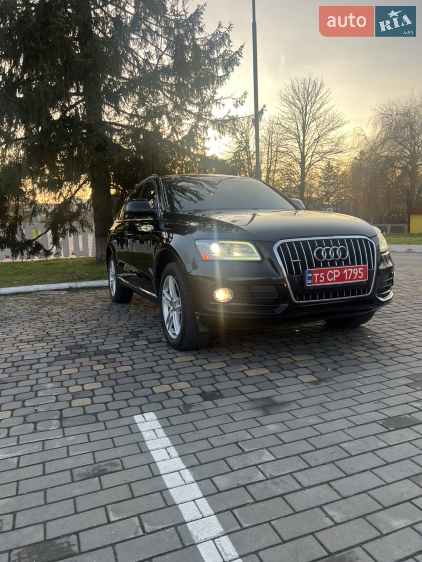 2016 Audi Q5 - фото 1