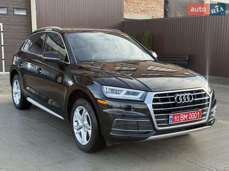 Внедорожник / Кроссовер Audi Q5 2019 в Ходорове