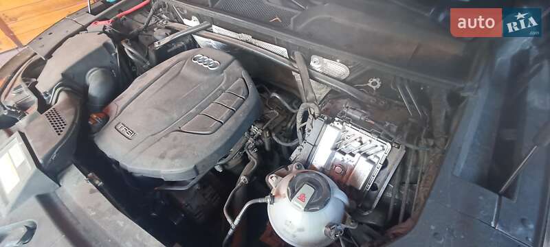 Внедорожник / Кроссовер Audi Q5 2018 в Житомире