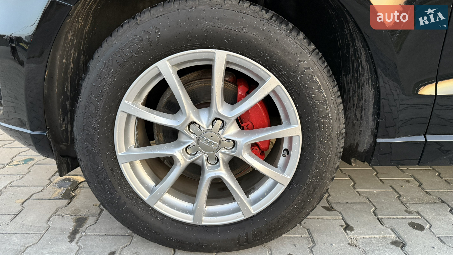 Audi Q5 2011 VIN WA1LFAFP7CA001225 фото оголошення 10 з 29