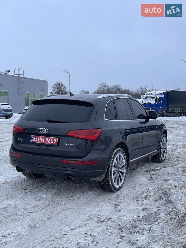 Внедорожник / Кроссовер Audi Q5 2013 в Луцке фото 9 Внедорожник / Кроссовер Audi Q5 2013 в Луцке