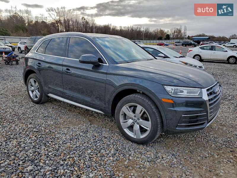 Внедорожник / Кроссовер Audi Q5 2019 в Ивано-Франковске