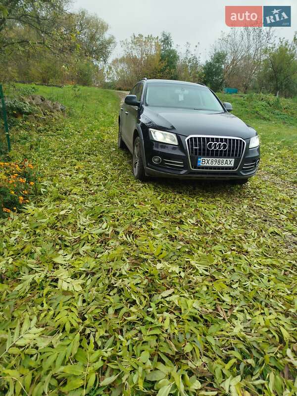 2015 Audi Q5, VIN WAUZZZ8R9GA005266:plate — фото 1 (autoria)