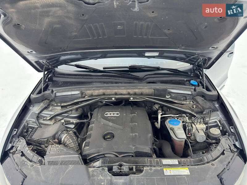 Внедорожник / Кроссовер Audi Q5 2011 в Хмельницком фото 12 Внедорожник / Кроссовер Audi Q5 2011 в Хмельницком