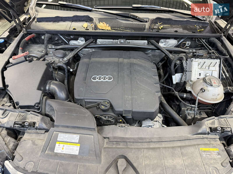 Внедорожник / Кроссовер Audi Q5 2021 в Киеве фото 38 Внедорожник / Кроссовер Audi Q5 2021 в Киеве