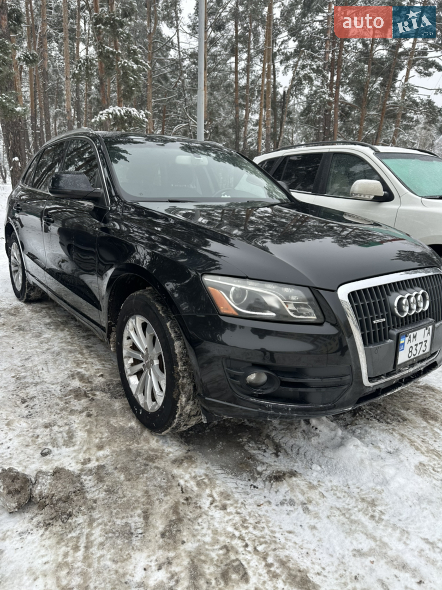 2011 Audi Q5 - мініатюра 2