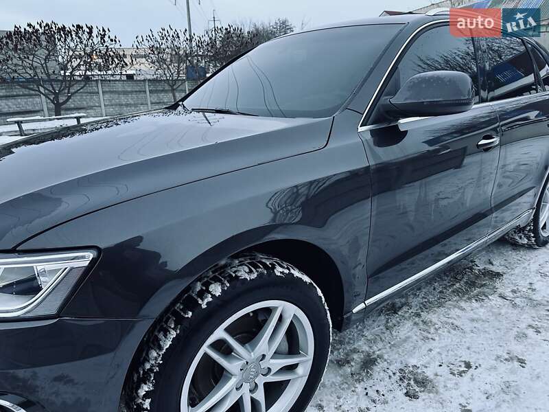 Внедорожник / Кроссовер Audi Q5 2014 в Василькове фото 5 Внедорожник / Кроссовер Audi Q5 2014 в Василькове
