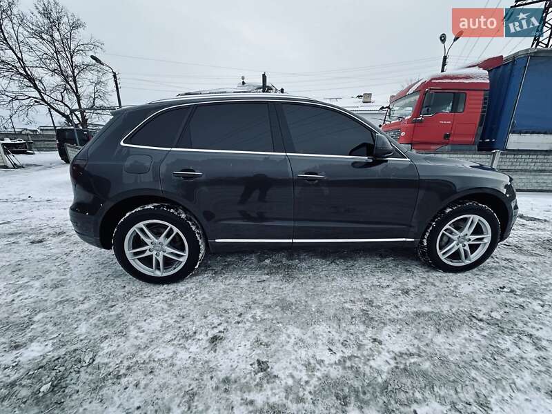 Внедорожник / Кроссовер Audi Q5 2014 в Василькове фото 11 Внедорожник / Кроссовер Audi Q5 2014 в Василькове