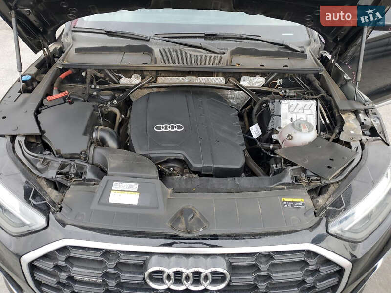 Внедорожник / Кроссовер Audi Q5 2023 в Бердичеве