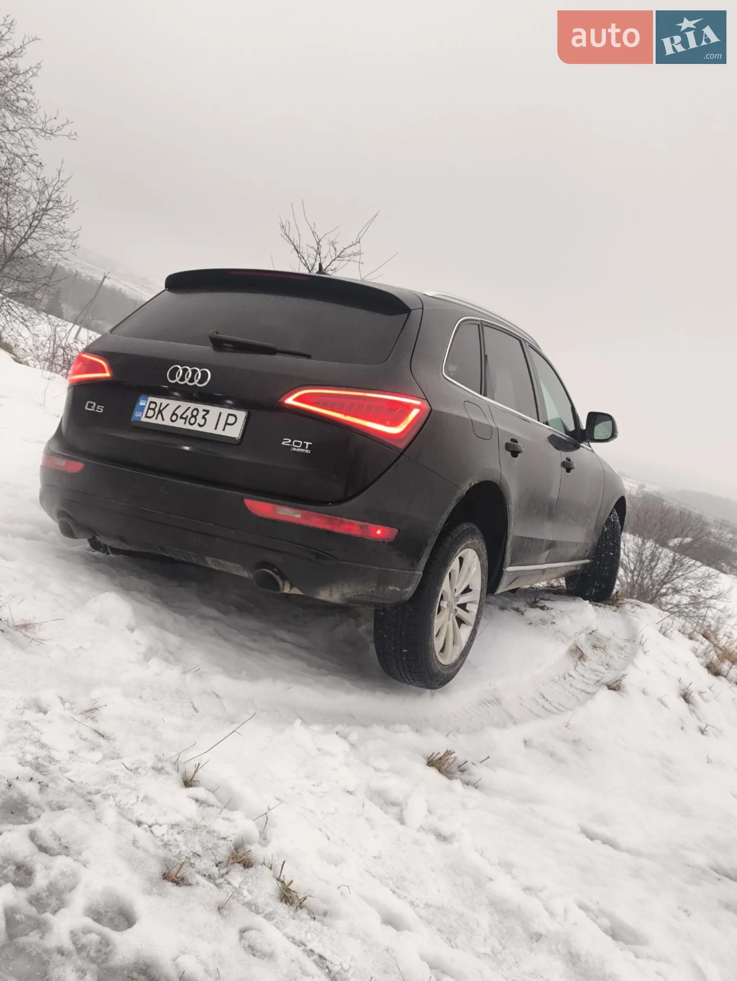 2013 Audi Q5 - мініатюра 4