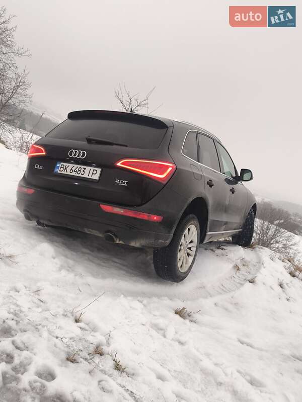 Внедорожник / Кроссовер Audi Q5 2013 в Черновцах фото 4 Внедорожник / Кроссовер Audi Q5 2013 в Черновцах