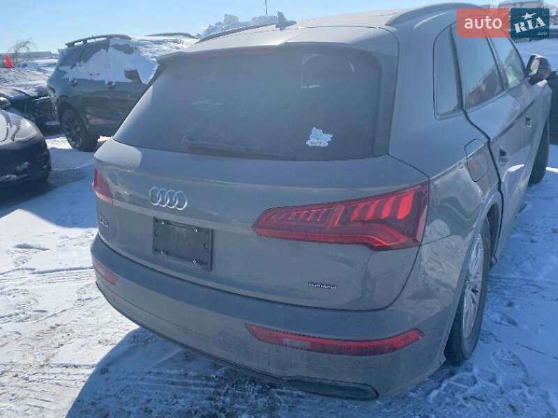 Внедорожник / Кроссовер Audi Q5 2019 в Ровно фото 44 Внедорожник / Кроссовер Audi Q5 2019 в Ровно