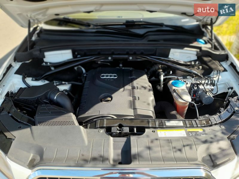 Позашляховик / Кросовер Audi Q5 2013 в Фастові фото 14 Позашляховик / Кросовер Audi Q5 2013 в Фастові